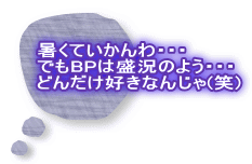 暑くていかんわ・・・ でもBPは盛況のよう・・・ どんだけ好きなんじゃ(笑)